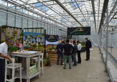 De FlowerTrials bij Peter van der Plas.