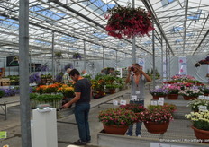 FlowerTrials locatie Peter van der Plas.