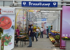 Brandkamp.