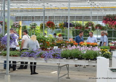 FlowerTrials locatie Peter van der Plas.