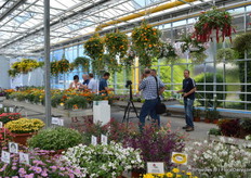 FlowerTrials locatie Pter van der Plas.