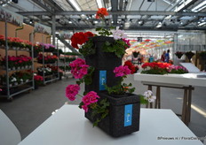 De 'Brick' van WaterWick.