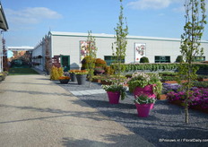 Moerheim New Plants en Hassinger Orchids, samen op een locatie