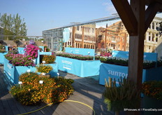 De Suntory Collection maakt deel uit van het assortiment van Moerheim