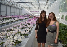 Iris Hassinger en Jasmin Hassinger van Hassinger Orchids