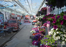 Moerheim New Plants pakte groots uit