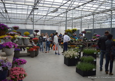 Kijkje in de groots opgezette presentatie van Pan American Seeds