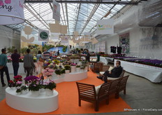 Bij Royal van Zanten waren ook Danziger, Horteve Breeding en Morel Diffusion te gast