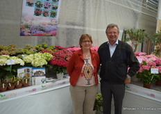 Laurence en Kees Everleens van Horteve Breeding, trots op de nieuwe Hortensia's