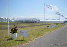 Een indrukwekkende oprit bij Takii Seed. De japanse veredelaar was tevens gastheer van Evanthia, Hem Genetics, Flora nova en Thompson Morgan