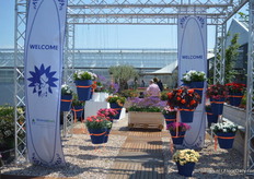 Warm welkom bij HilverdaKooij