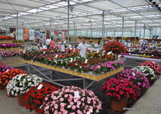 De showeroom had met opzet de feel van een tuincentrum gekregen, zodat bezoekers een idee konden krijgen van de presentatiemogelijkheden in de kas