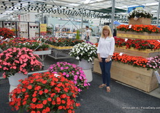 Gill Corless, marketing and retial manager, gaf een uitgebreide introductie over de nieuwste varieteiten