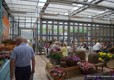 Schoneveld Breeding en Selecta presenteerden hun noviteiten gezamenlijk op de veiling in Naaldwijk