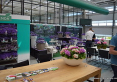 Addenda is eveneens een productlijn van Schoneveld Breeding