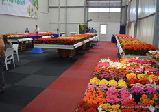 In de showroom bij KP Holland