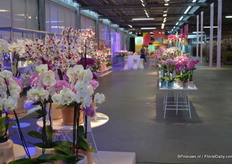 Bij Sion werden de nieuwe soorten, die in naam allemaal eindigen op -ion, stijlvol gepresenteerd