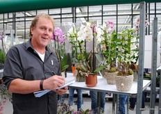 Orchids Service heeft een breed assortiment Phalaenopsis, maar is ook actief in de Dendrobium. Rex van der Salm vertelt over deze relatief onbekende orchidee.