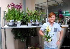 Perry Bruin van Top Orchid laat zien hoe belangrijk de verhouding blad-bloem is in hun aanbod, bestaande uit cambria's, oncidiums en brassia's.