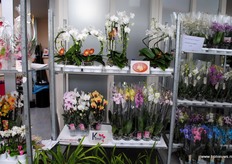 Bovenaan de gevormde producten van Wim Graman en onderaan de Cascades van Konst.