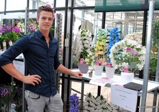 "De opvallende planten van Bos Orchids: de Colours, de Specials. "De Classics blijven het grootste", vertelt Michiel. "Maar hiermee kunnen we een breed assortiment aanbieden. Je kunt veel maken met de Dendrobium nobilé."