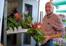 "Hans Eijgenraam van Eijgenraam Orchideeen teelt sinds een aantal jaar de exclusieve, tropische Cattleya. "Het begon met een tafel. nu staat de hele kas vol."