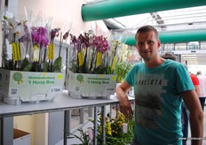 Jan Tenmeer toont de phaleanopsis van 't Hoog Bos. Die gaan veelal naar Scandinavië, en dan naar de detaillisten.