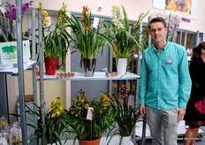 Bij OrchiDiva is het Cymbidiumseizoen net weer van start gegaan, vertelt Jurgen Besuijen