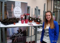 De Ludisia Discolor van Van der Voort gaat de markt op onder de naam Jewel Orchid. Hij is beschikbaar in vier potmaten: 6, 10,5, 13 en 17, vertelt Michelle.