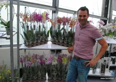 Addie Groen van Phalaenova. Het bedrijf heeft zo'n 30 soorten phalaenopsis in het assortiment.