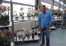 De Koeleman Potplanten levert naast Phalaenopsis ook andere potplanten als spathiphyllum en calathea.