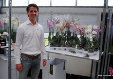 Jos van Leerdam Orchideeën, gespecialiseerd in de midi-Phalaenopsis in 12 cm potten