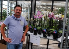 Brian van der Kuilen van Kwekerij de Molenhoek, al ruim dertig jaar gespecialiseerd in pot-Phalaenopsis