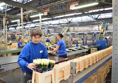 De bijeenkomst wordt op de locatie van BSI gehouden. De dagelijkse werkzaamheden gaan hier gewoon door.