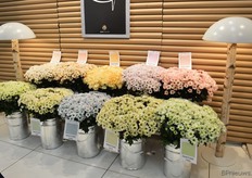 Liz: “Verven wordt veel gedaan, maar niet in natuurlijke en zachte pastel tinten.”