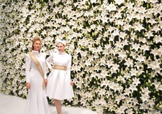 Hoe trek je de aandacht? Nou, zo dus, weet Paauw Lilies.