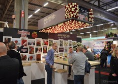 Lansbergen Roses en Van Rijn Roses deelden een stand en hadden een indrukwekkend plafond van rozen gefabriceerd.