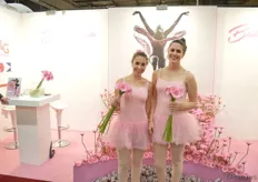 Lara Voltman en Lisa van den Berg waren de 'Ballerina's', een lijn gerbera's dat door veredelaar Florist Breeding en de kwekers op deze manier extra in de spotlights werd gezet.
