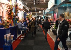 Drukte in het pad van Dekker Chrysanten en Florist Breeding