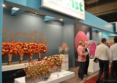 “De mini's doen het heel goed in Nederland. Dit jaar hebben we daarom in het bijzonder de Ballerina uitgelicht, volgend jaar wordt dat de Magical”, vertelt Arthur Kramer van Florist Breeding.