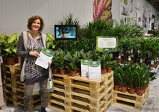 Op de beurs van Waterdrinken, Our World of Plants, werden verschillende nieuwe concepten gepresenteerd door derden, waarmee Waterdrinker linksom of rechtsom een handelsrelatie heeft. Een daarvan is Johanna Snel van Quick Works, dat een concept voor in de tuincentra presenteerde, waarmee, dankzij een nieuwe presentatie en video's, sales flink verhoogd zouden moeten kunnen worden.