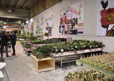 Op de beurs van Waterdrinken, Our World of Plants, werden verschillende nieuwe concepten gepresenteerd door derden, waarmee Waterdrinker linksom of rechtsom een handelsrelatie heeft. Een daarvan is Johanna Snel van Quick Works, dat een concept voor in de tuincentra presenteerde, waarmee, dankzij een nieuwe presentatie en video's, sales flink verhoogd zouden moeten kunnen worden.