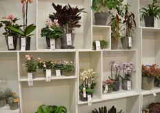 Op de wand de noviteiten voor het komend jaar.