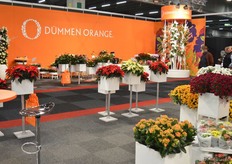 Dümmen Orange had op de Trade Fair een stand waar je in kon voetballen zo groot.