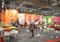 Dümmen Orange had op de Trade Fair een stand waar je in kon voetballen zo groot.