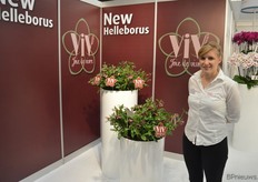 Microflor, op de foto vertegenwoordigd door Benedicte Thienpont, is een veredelaar en vermeerderaar van met name orchideeën uit België. Maar ook van andere planten, zoals de Victoria, een nieuwe Helleborus variëteit waarvoor op de beurs extra promotie gemaakt werd.