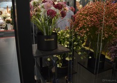 Veel te zien bij Hilverda Kooij, alwaar o.a. Addie de Joode graag vertelde over de nieuwste soorten en marktintroducties.