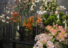 Veel te zien bij Hilverda Kooij, alwaar o.a. Addie de Joode graag vertelde over de nieuwste soorten en marktintroducties.