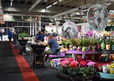 More Lips, dat met de zwoele uitstraling ook steeds meer bekendheid begint te krijgen