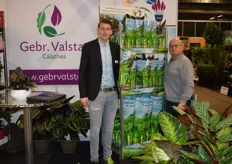 Yuri Westhoff van Gebr. Valstar, samen met Nico Kortekaas, Persoonlijk Verkoper bij FloraHolland. De kweker lanceert een nieuwe verpakkingslijn voor de Calathea's, Rhythm of Nature